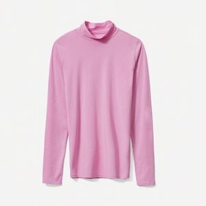 Everlane Pima Stretch Turtleneck